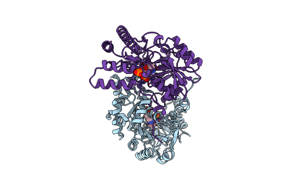 1B5P image