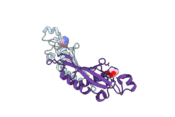 1B66 image