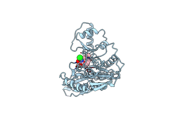 1B6A image