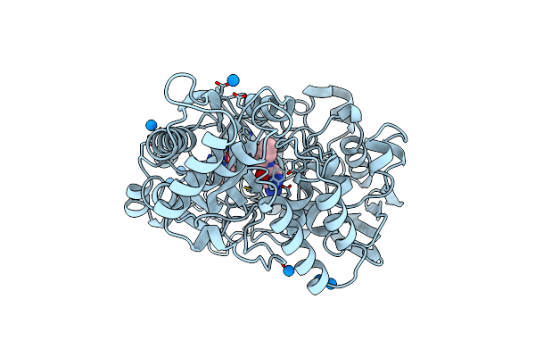 1B6H image