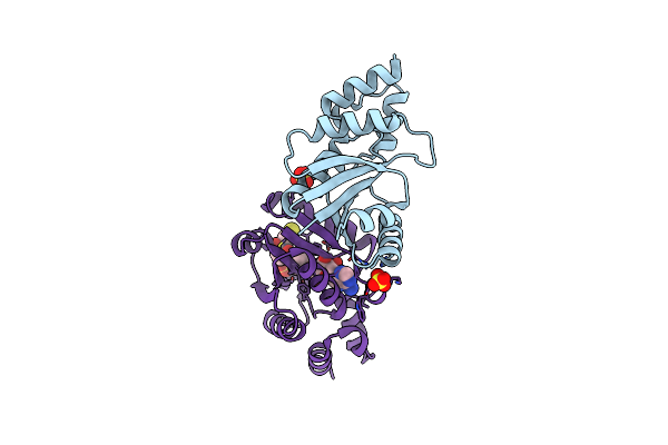 1B6T image