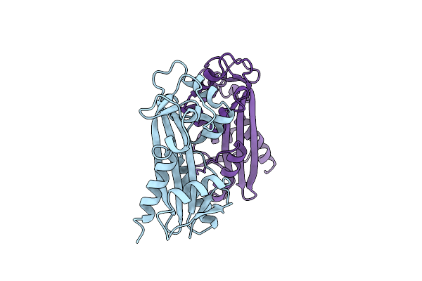 1B78 image