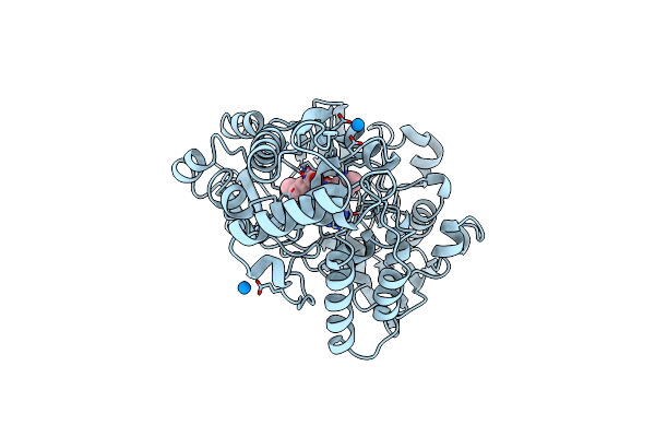 1B7H image
