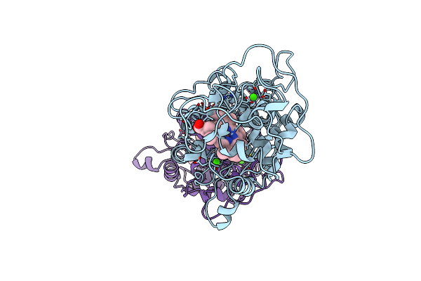 1B82 image
