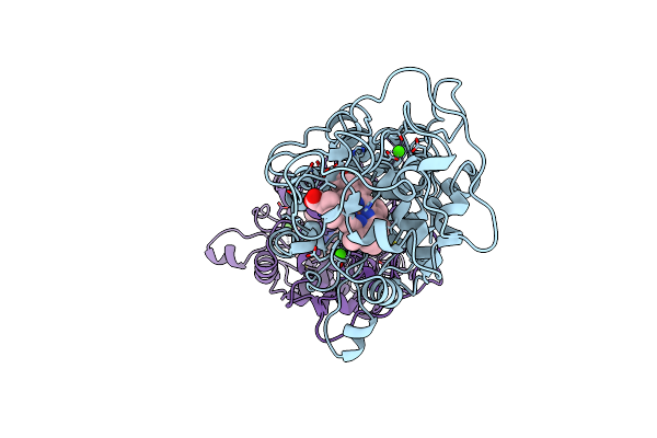 1B85 image