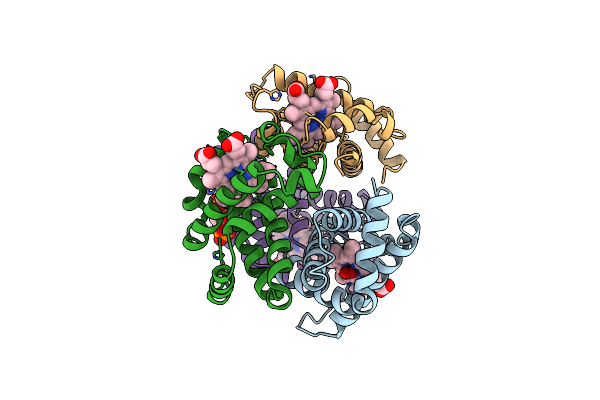 1B86 image