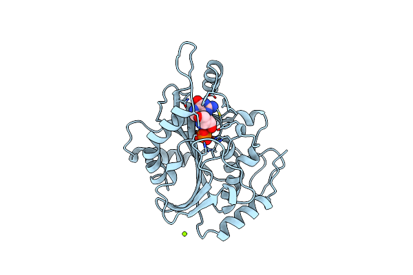 1B8N image