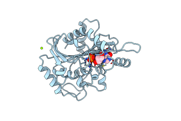 1B8O image