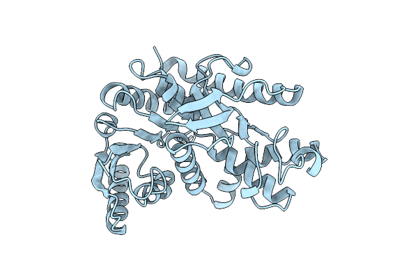 1B8P image