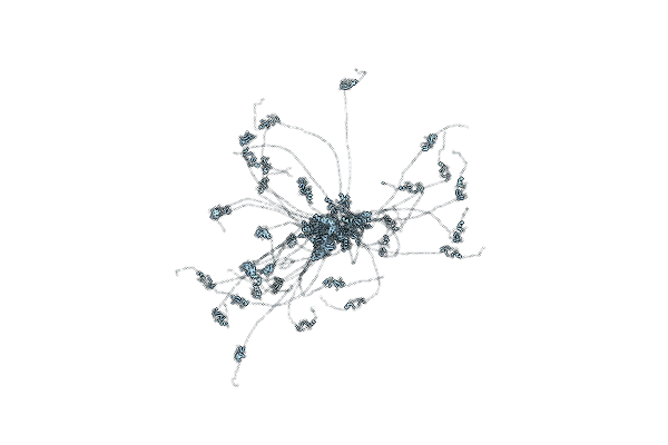 1B8T image