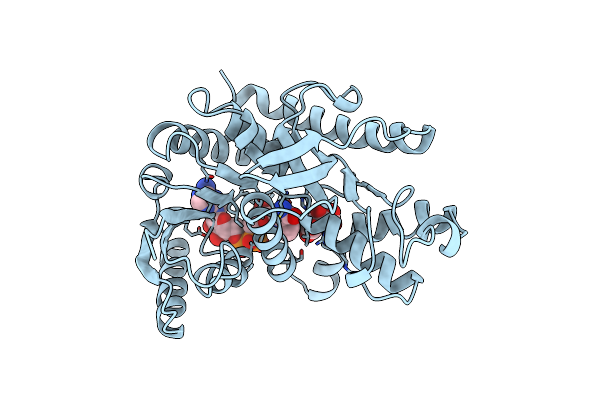 1B8U image