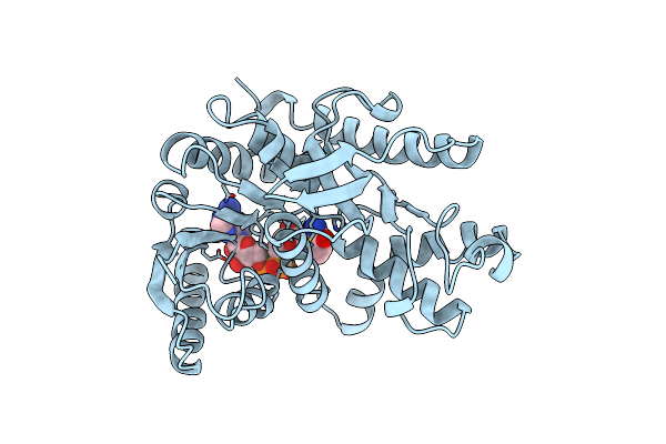1B8V image