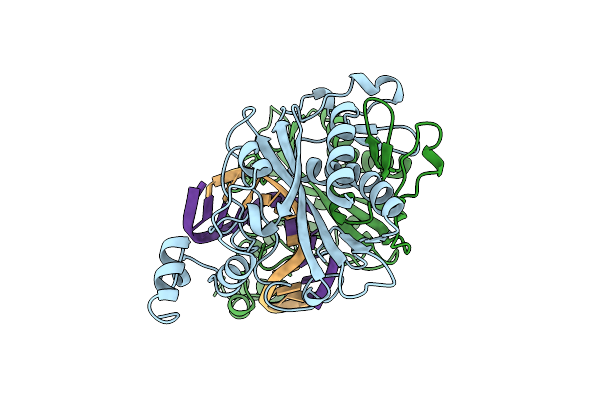 1B97 image