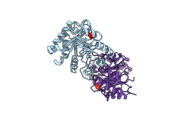 1B9B image