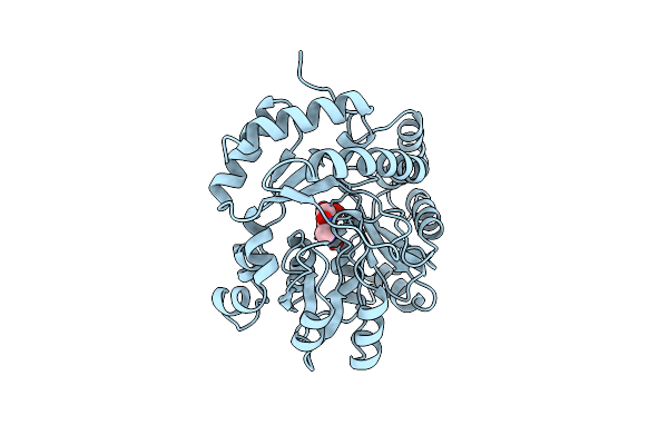 1B9H image