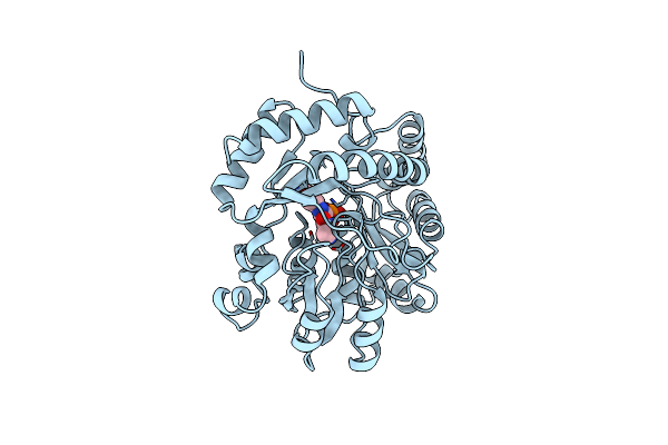 1B9I image