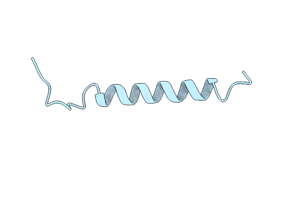 1B9P image