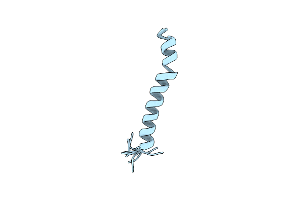 1B9U image