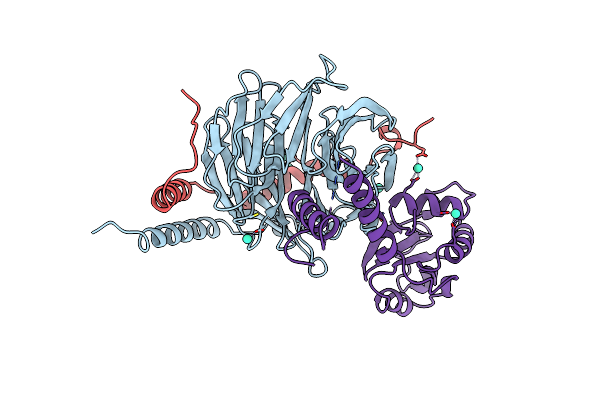 1B9X image