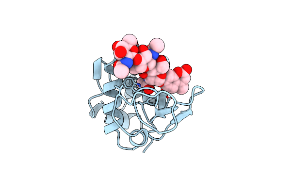 1BB6 image
