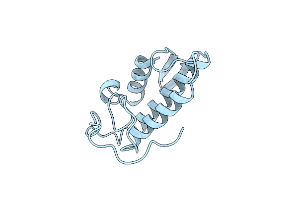 1BBC image
