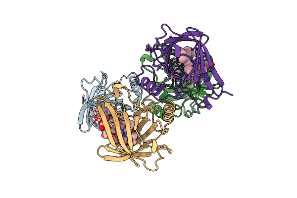 1BBP image
