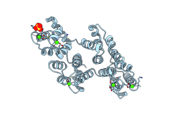 1BC1 image