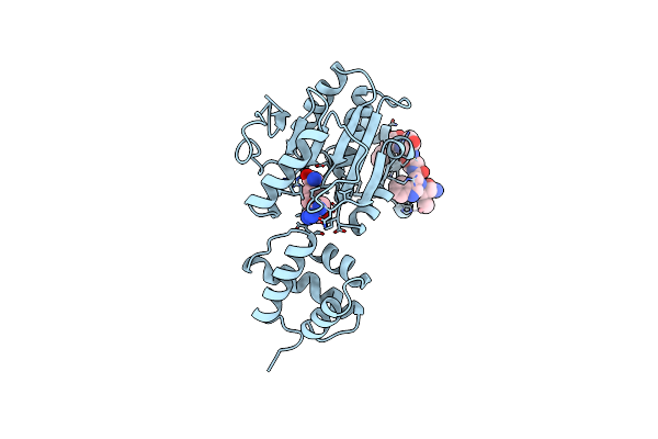 1BC5 image