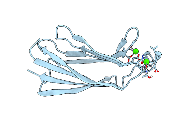 1BCI image