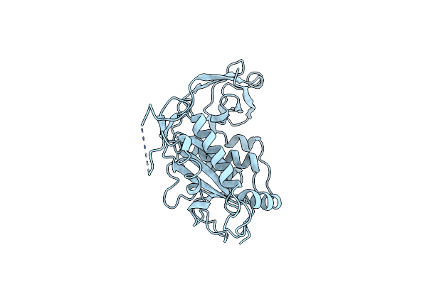 1BCO image