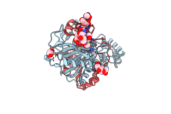 1BCS image