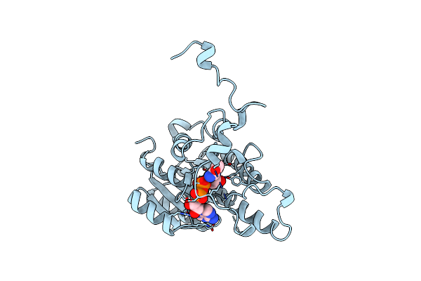 1BDB image