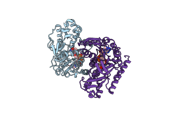 1BDM image