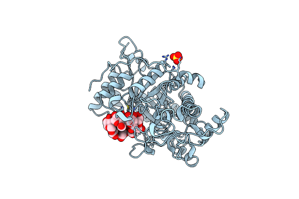 1BFN image
