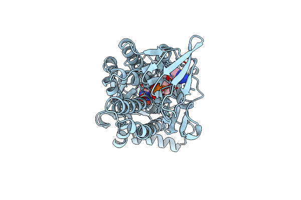1BGJ image