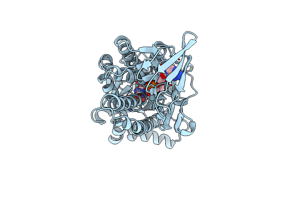 1BGN image