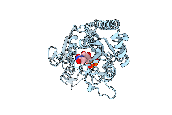 1BGU image