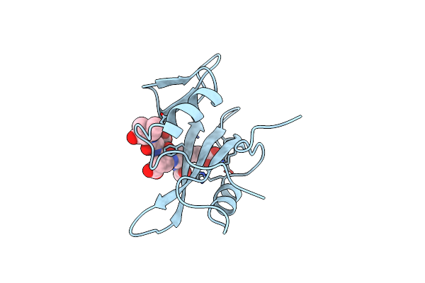 1BHF image