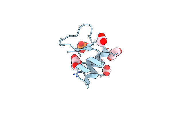 1BHP image