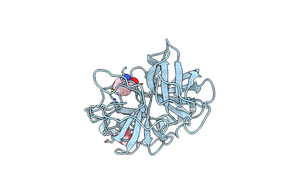 1BIO image