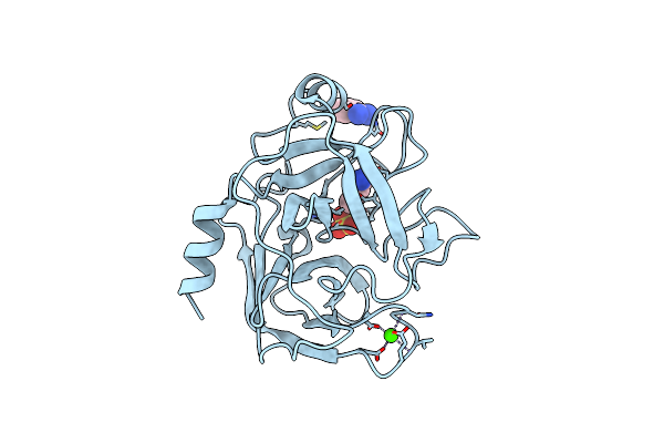 1BIT image