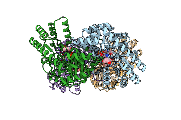 1BKG image