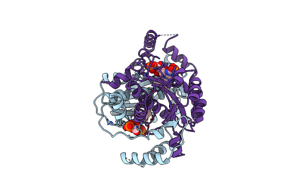 1BKJ image