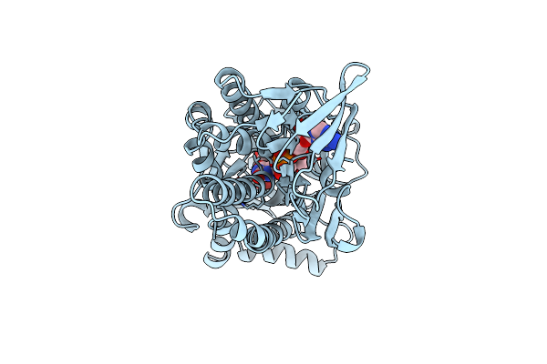 1BKW image