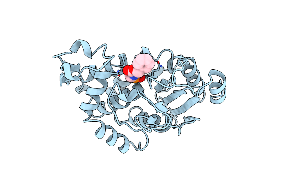1BLH image