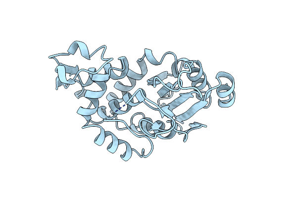 1BLP image