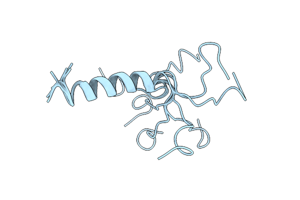 1BMX image