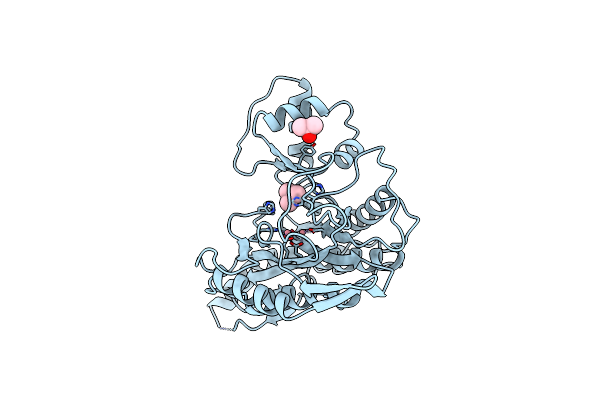 1BN5 image