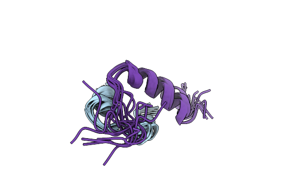 1BON image
