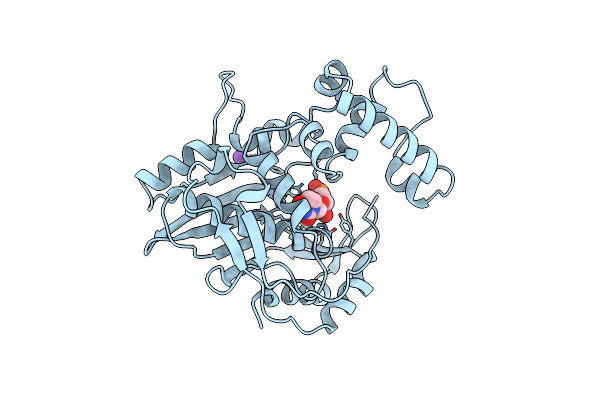 1BP0 image
